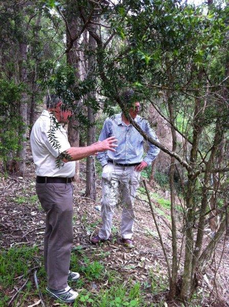 Uncle Neil Sainsbury on river bank above Duck Creek swimming hole, Auburn